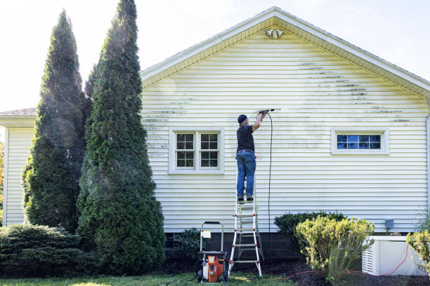 Best Solar Panel Cleaning  in Hesston, KS